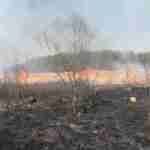 На Львівщині на Великдень зафіксували 24 пожежі сухої трави