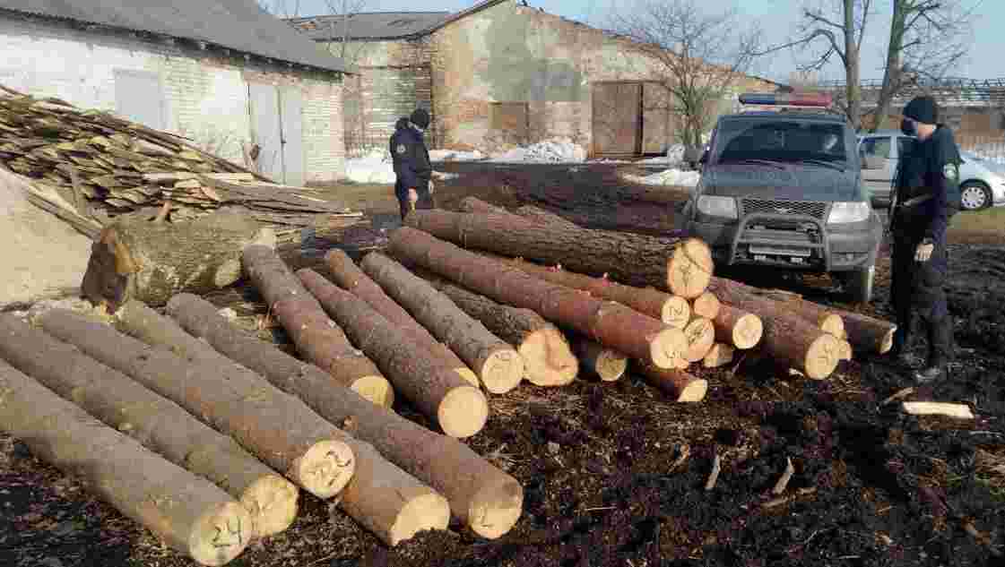 На Львівщині правоохоронці виявили нечиповану лісопродукцію