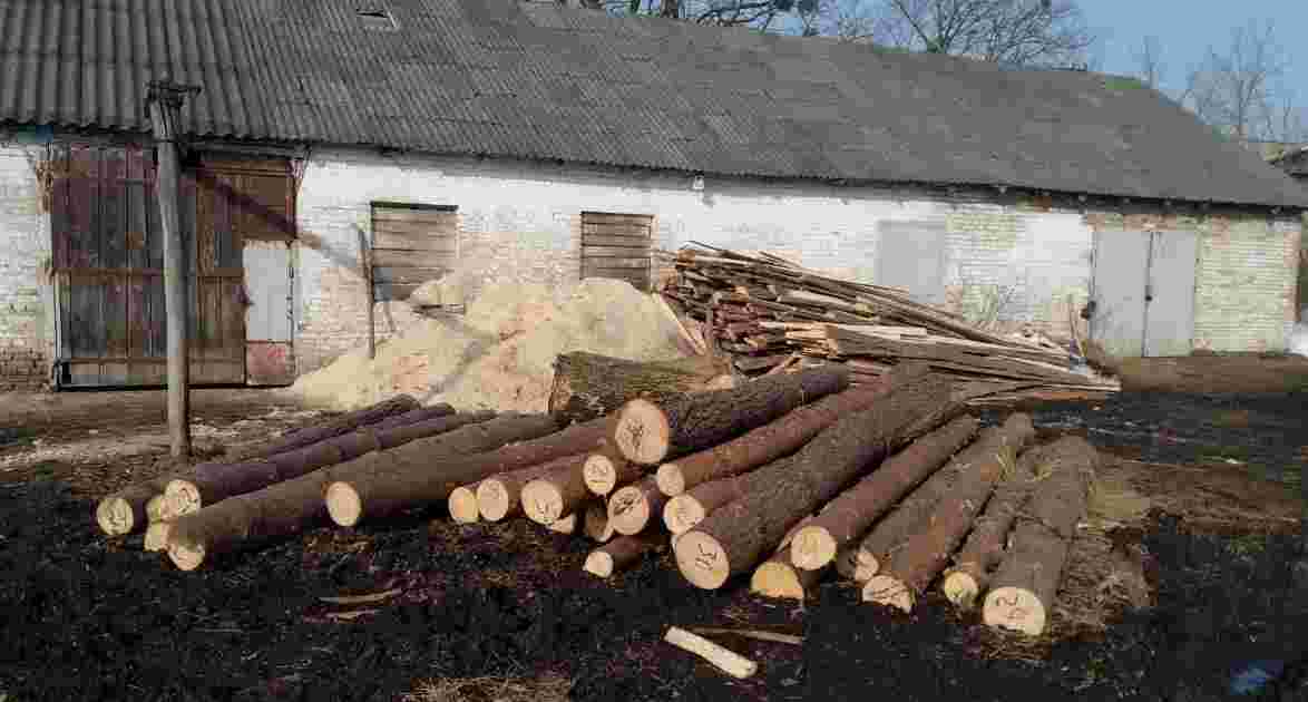 На Львівщині правоохоронці виявили нечиповану лісопродукцію