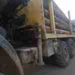 На Львівщині правоохоронці виявили вантажівку з нечіпованою деревиною
