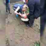 На Львівщині рятувальники допомогли лелеці, що зачепився на дереві (фото)
