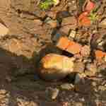 На Львівщині серед стихійного сміттєзвалища знайшли людські останки (фото, відео)