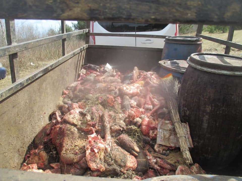 На Львівщині судитимуть чоловіка, який скидав у рів яловичі туші (фото)