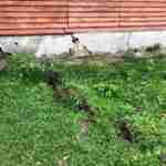 На Львівщині внаслідок сильних опадів є загроза зсуву ґрунту разом із житловим будинком (фото)