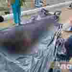На Миколаївщині чоловік вбив колегу і заснув над тілом (ФОТО)