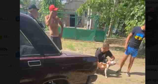 На Одещині у військовослужбовця, який зараз на фронті, вкрали собаку і вимагали за нього гроші (ВІДЕО)