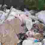 На Пластовій горить сміттєзвалище (ФОТО, ВІДЕО)