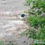 На Прикарпатті автомобіль злетів у річку: людей, які були в ньому досі шукають (фото)
