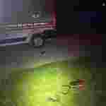 На Прикарпатті п’яний водій вчинив смертельну ДТП, один пішохід загинув (фото)