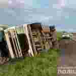 На Рівненщині перекинулася вантажівка з деревиною (фото)