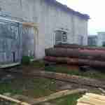 На Сокальщині виявили пилораму з незаконно зрубаною деревиною (фото)