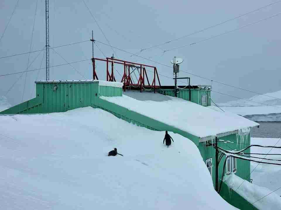 На станції «Академік Вернадський» зафіксували новий сніговий рекорд (ФОТО)
