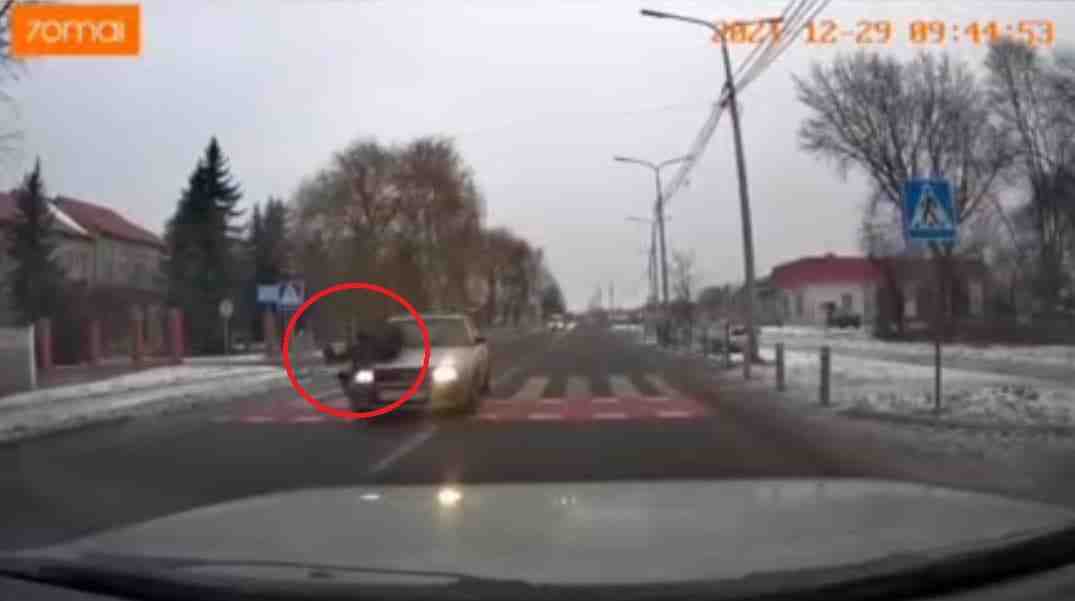 На відеореєстратор потрапив момент ДТП: автомобіль збив чоловіка на пішохідному переході (ВІДЕО 18+)