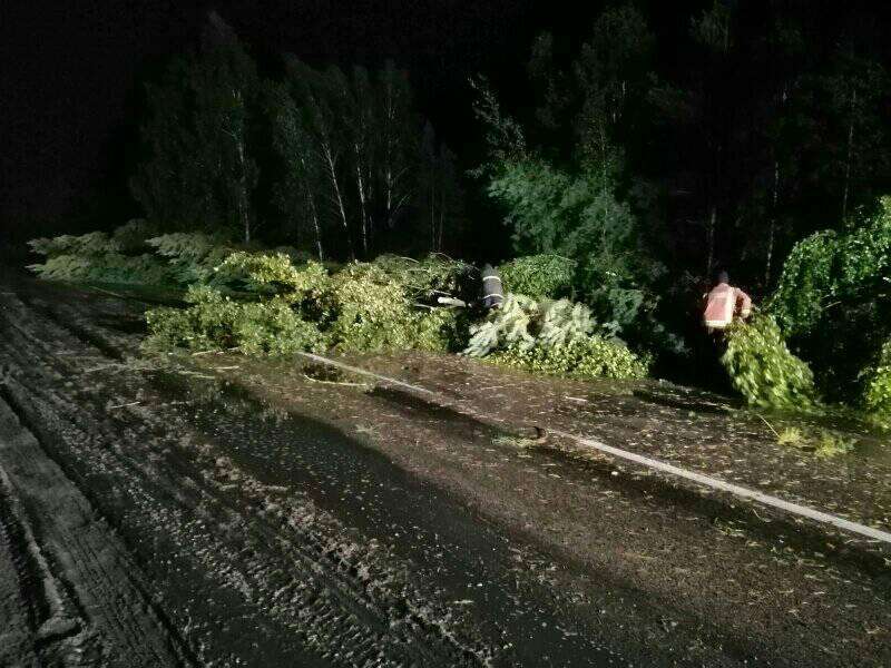 На Волині блискавка влучила у будинок, а вітер повалив дерева на дорогу (фото)