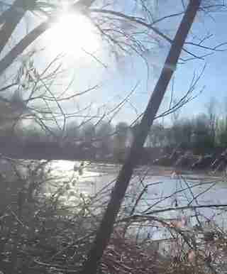 На Закарпатті екстремал з Дніпра у сильний мороз спробував самотужки переплисти стрімку гірську річку (ВІДЕО)