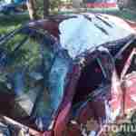 На Закарпатті внаслідок зіткнення автівки з деревом загинули двоє осіб (фото)