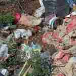 На Жовківщині перевіряють несанкціоновані сміттєзвалища (фото)