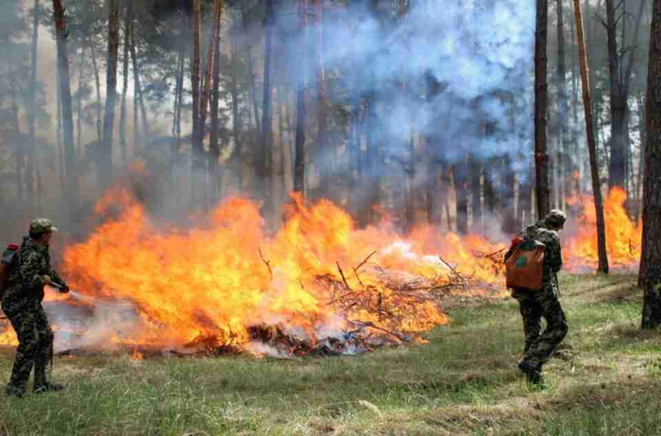 Надзвичайники Львівщини попереджають про пожежну небезпеку