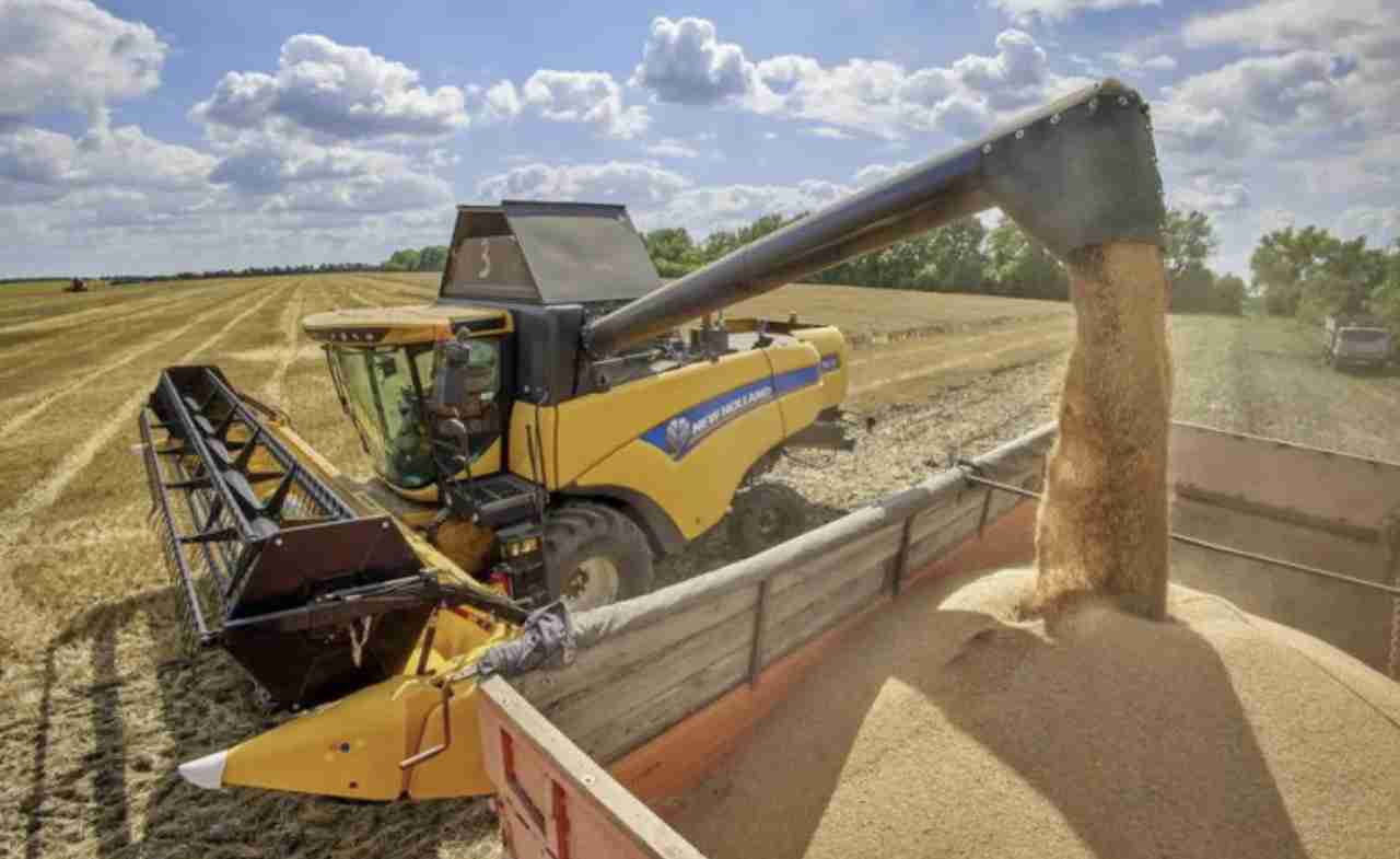 НБУ озвучив суму збитків України через заборону транзиту українського зерна