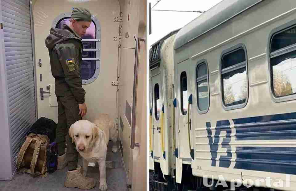 Не пустили військового з собакою до вагону: «Укрзалізниця» після скандалу напрацює оновлені правила перевезення тварин