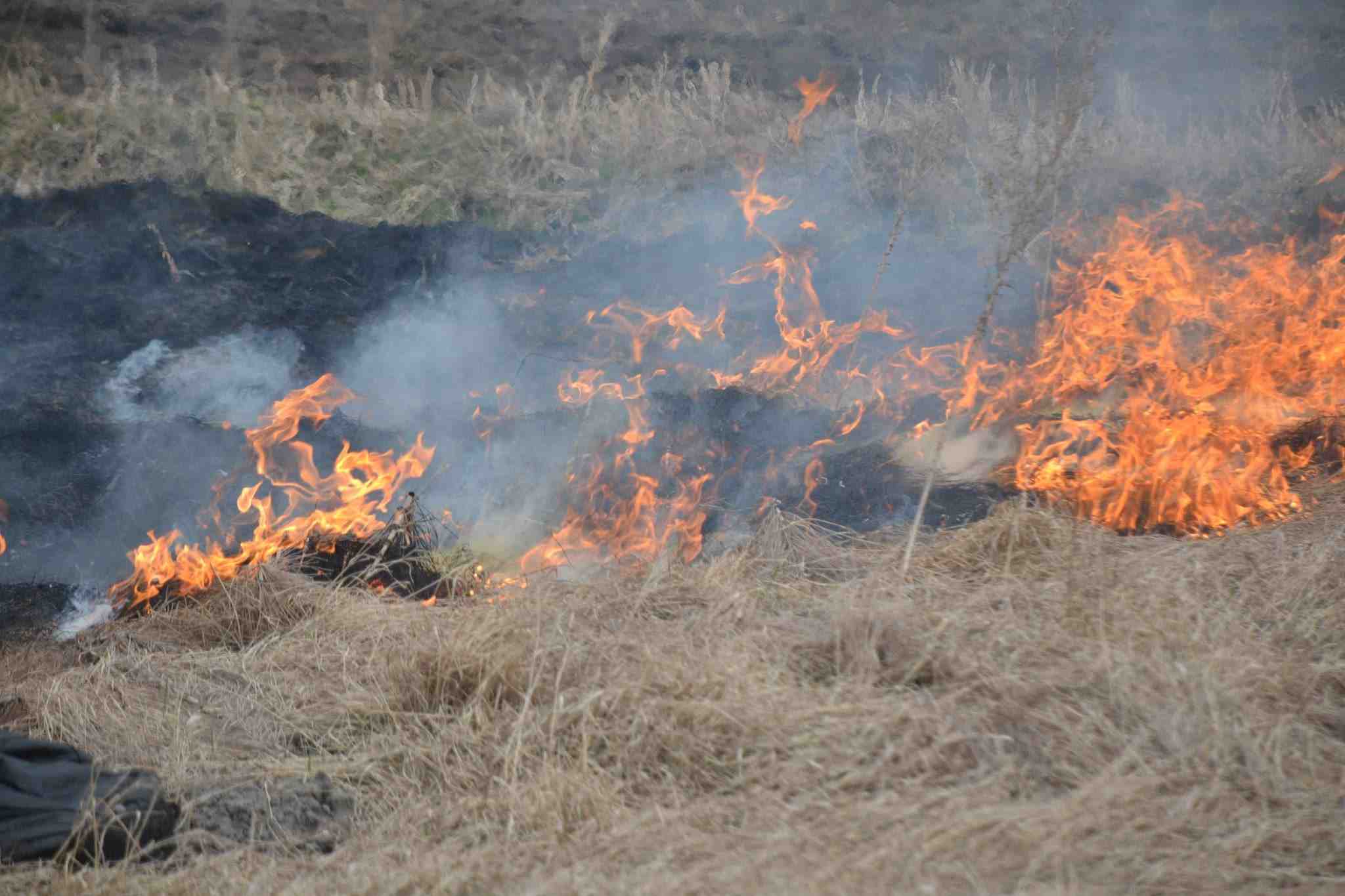 Незважаючи на попередження: на Львівщині ліквідували 4 пожежі сухої трави (фото)