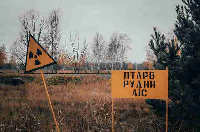 Окупантів після опромінення в Чорнобильському «Рудому лісі» відправляють до лікарні в Білорусі