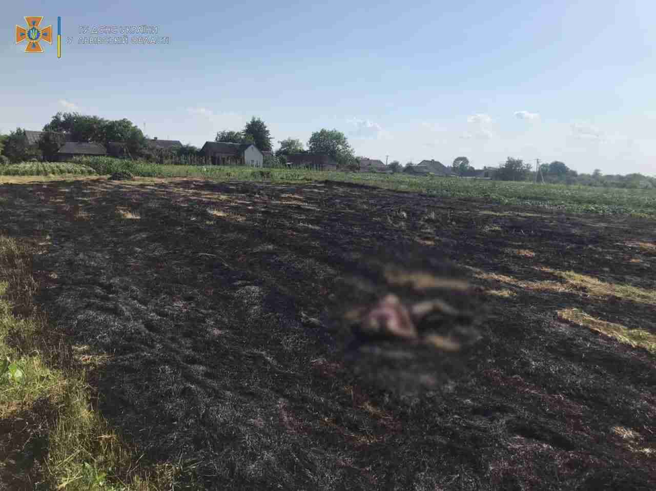 Палила траву: на Львівщині виявили на згарищі тіло жінки (ФОТО)