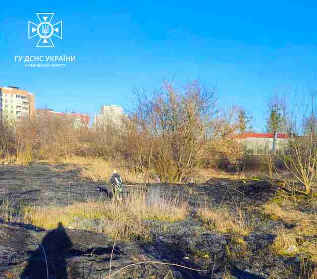Палії, схаменіться: на Львівщині за добу гасили кілька десятків пожеж (ФОТО)