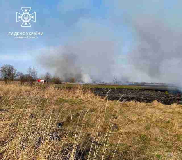 Палії, схаменіться: на Львівщині за добу гасили кілька десятків пожеж (ФОТО)