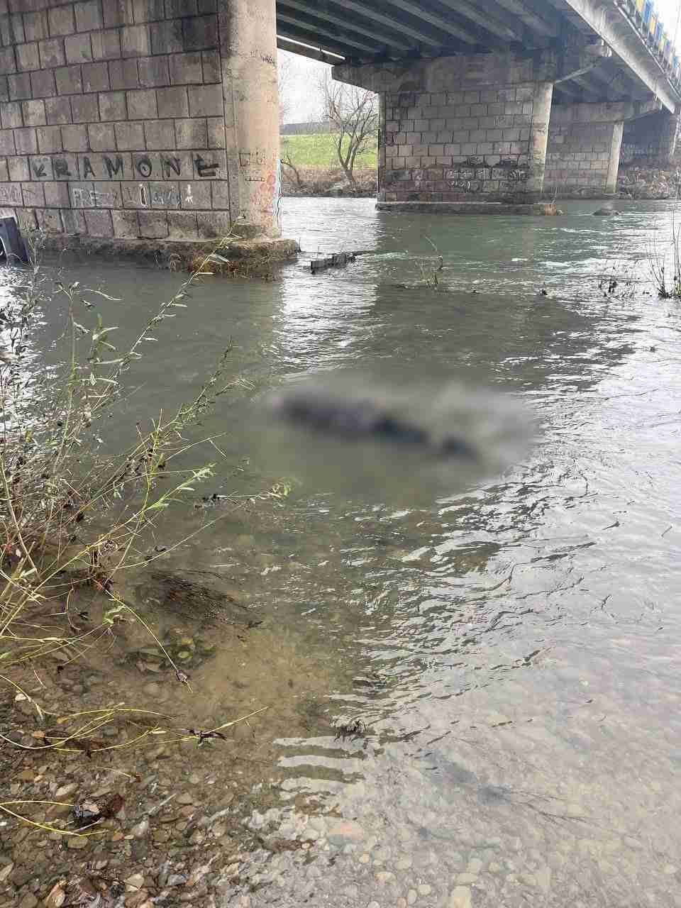 Під мостом в Ужгороді виявили тіло жінки (ФОТОФАКТ 18+)