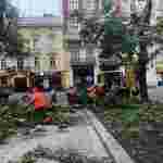 Підсумки негоди у Львові в цифрах: як оговтується місто після буревію (фото, відео)