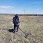 Піротехніки продовжують розміновувати територію Донбасу: обстежено 147 гектарів (фото)
