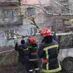Поламані дерева, понищені покрівлі: рятувальники ліквідували наслідки негоди на Львівщині (фото)