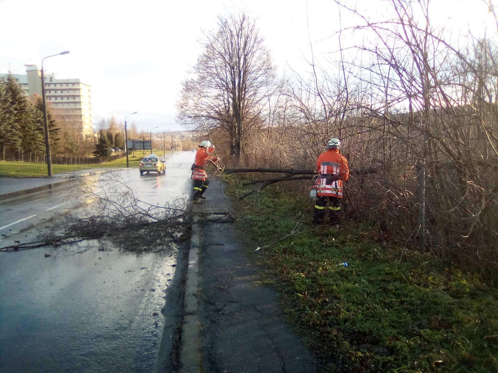 Поламані дерева, понищені покрівлі: рятувальники ліквідували наслідки негоди на Львівщині (фото)