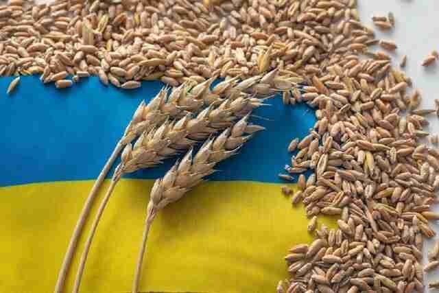 Польща і Словаччина жорстко відреагували на позов України до СОТ щодо зерна