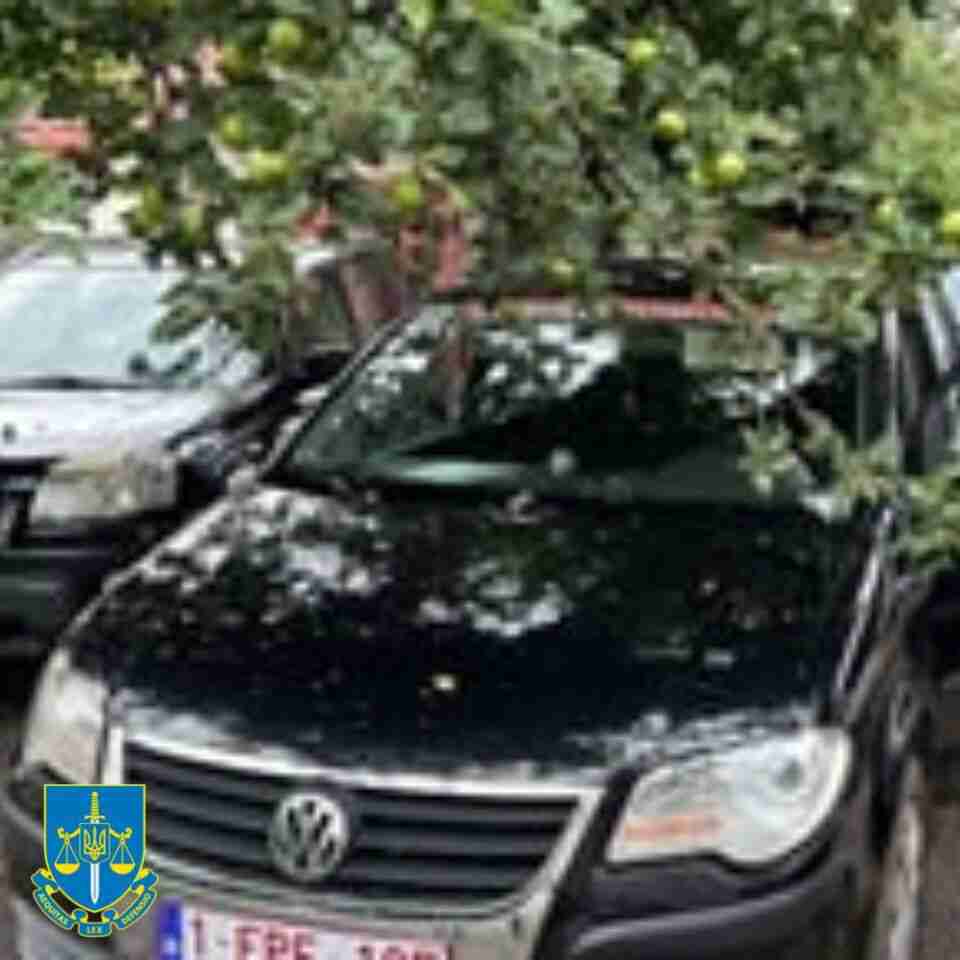 Продали більше 10 «гуманітарних» авто: на Львівщині викрили групу, що торгувала джипами для ЗСУ (ФОТО)