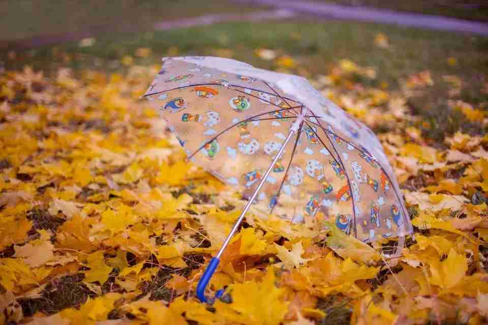 Прогноз погоди у Львівській області на останній день тижня, 30 жовтня
