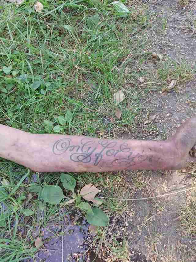 Просять опізнати: на Волині знайшли в лісі мертвого чоловіка з татуюваннями (ФОТО)