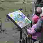 Природа оживає: у Стрийському парку зацвіли крокуси та підсніжники (фоторепортаж)
