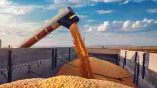 росія готує нову «тристоронню зернову угоду», але без України