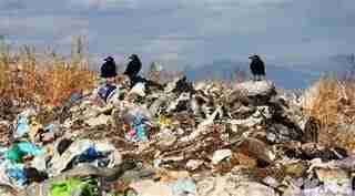 Росіян звинуватили у спалюванні тіл на херсонському сміттєзвалищі - «The Guardian»