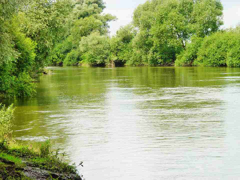 Рятувальники Львівщини витягнули з річки двох чоловіків, які тонули (ВІДЕО)
