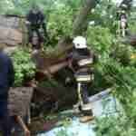 Рятувальники опублікували фото з місця падіння дерева на дівчину у Брюховичах