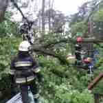 Рятувальники опублікували фото з місця падіння дерева на дівчину у Брюховичах
