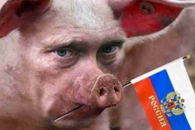 Символічно: російські військові облаштували штаб на чернігівській свинофермі