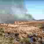 Спалювання сухої трави ледь не знищило ціле село на Рівненщині: один чоловік загинув