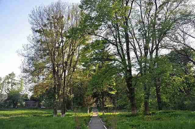 Суд покарав чоловіка, який гуляв голим у парку на Львівщині