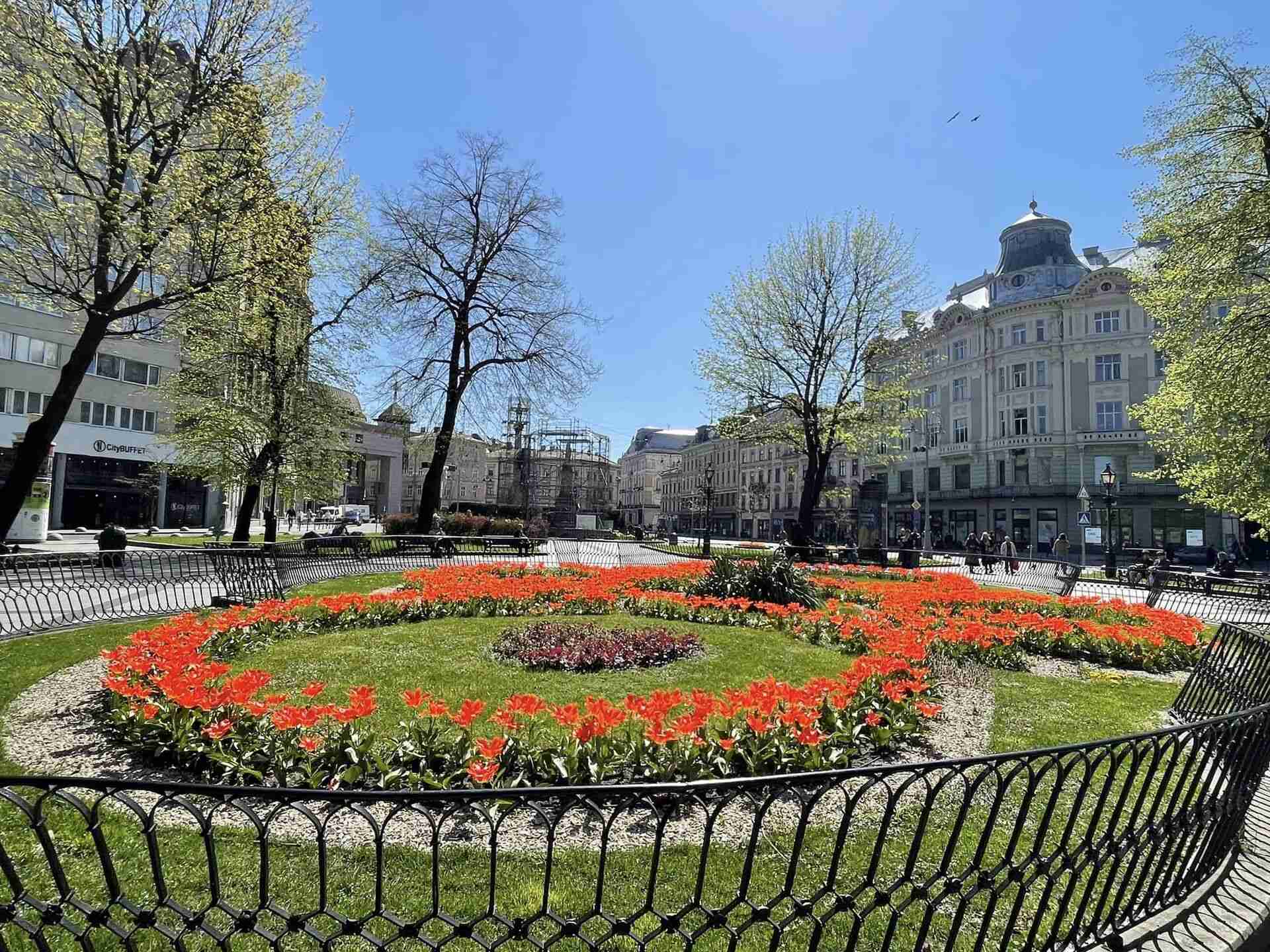 Топ-6 тюльпанових локацій у Львові, які варто побачити (ФОТО)