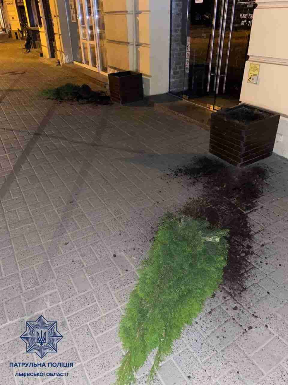 У центрі Львова іноземець вирвав рослини з вазонів (ФОТО)
