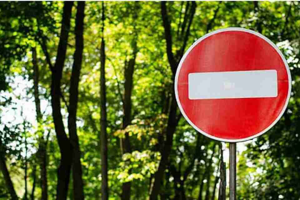 У частині Волинської області повністю заборонено відвідування лісів